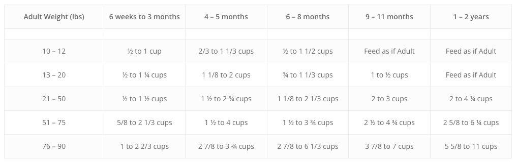 What to feed a Bernedoodle - Feeding chart