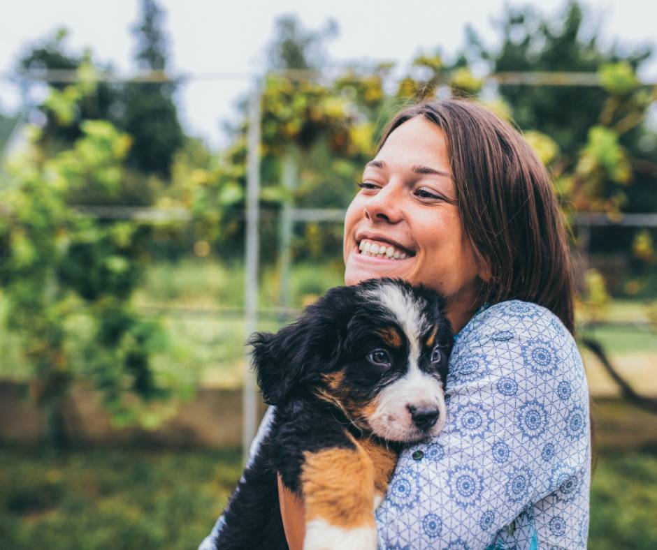 Bringing a puppy home. Woman hugging a new puppy