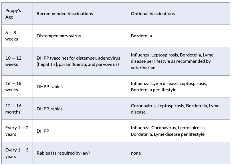 Puppy's first vaccine schedule