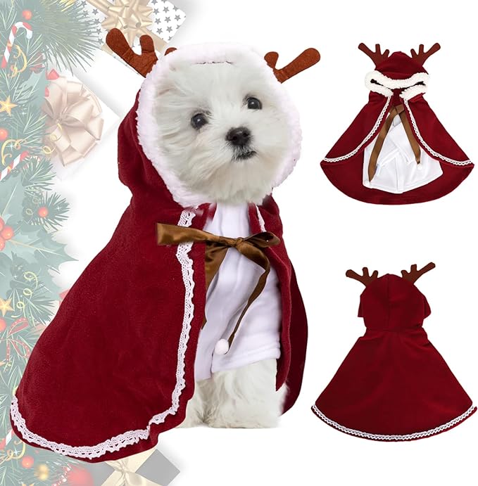 Top 15 Trending Dog Holiday Costume Ideas - Raya the Bernedoodle